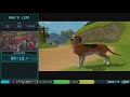 Dog's Life by ThaRixer in 19:44 - AGDQ 2018 - Part 87