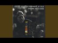 Cherokee (feat. Dianne Reeves)