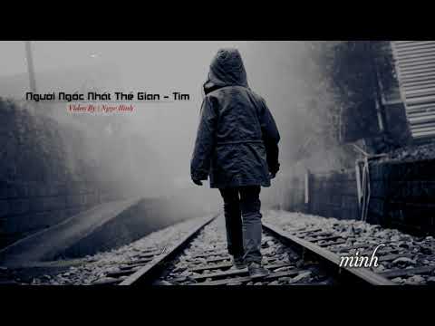 Người ngốc nhất thế gian - Tim