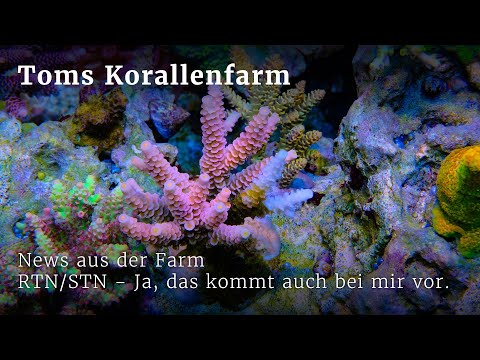 News aus der Farm - RTN/STN - kommt (leider) in den besten Becken vor.