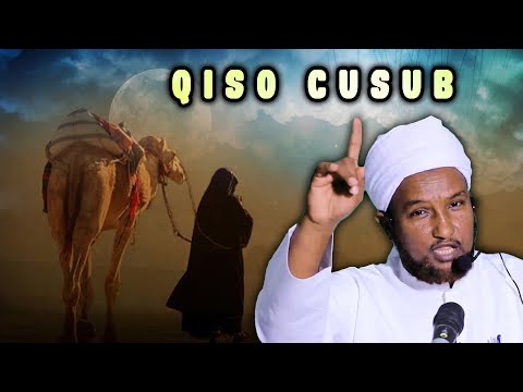 Malik Malblo Magnetic Deluxe 1 MAL 0313