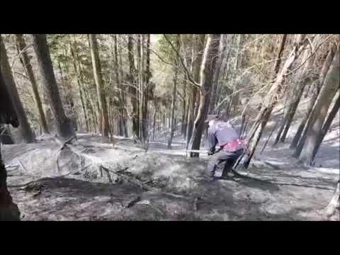 Incendiu de vegetatie in Asau