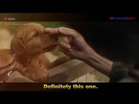 English @ the Movies: Pick of the Litter