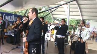 Video de Mariachi show Mi Tenampa