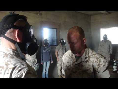 YouTube video about: Are dog immune to tear gas?