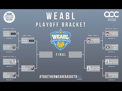 WEABL Top 5 Plays I Semi-Finals I 2018-2019 Season