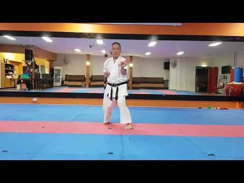 Shito-Ryu Kata Shinpa