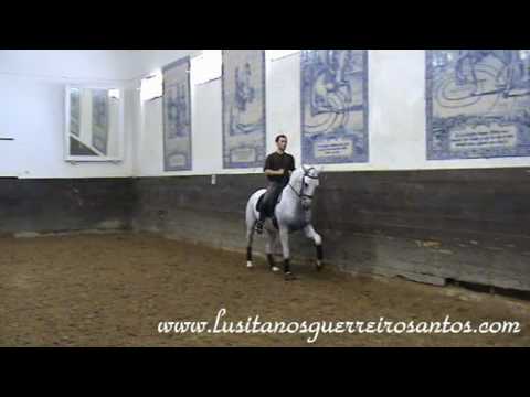 Monte da Tramagueira Stud - Coudelaria Monte da Tramagueira