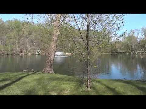 Alverthorpe Park activities and facilities