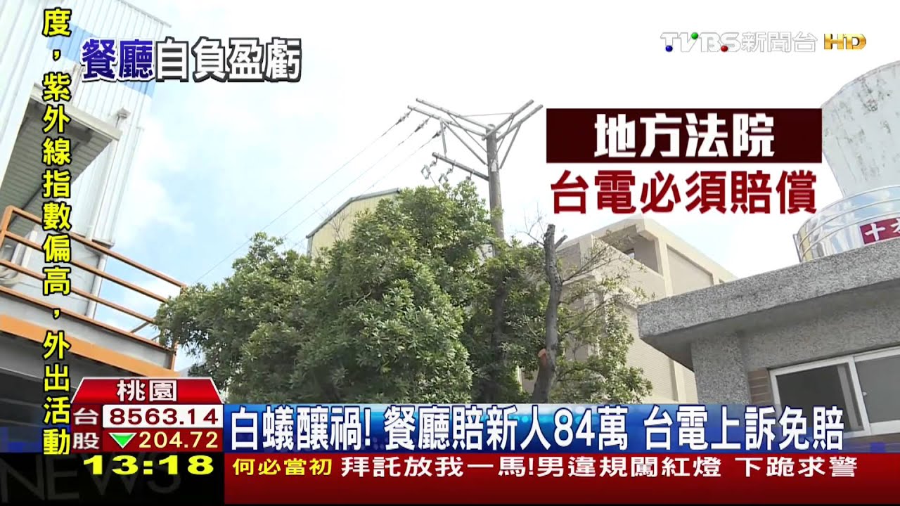 台電免賠!白蟻蛀蝕電纜 2新人婚宴停電