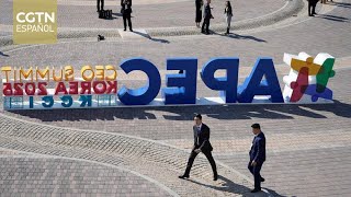 Representantes empresariales destacan el mensaje de Xi Jinping en la Cumbre de CEO del APEC