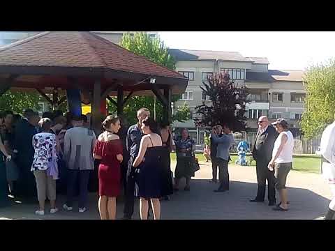 Nunta in parc-Sanmartin