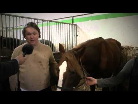 Reportage Henk Grift Afl. 3 "Stalbezoek"