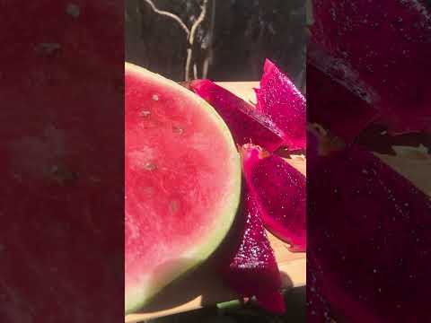 AY NAHULOG😂 #dragonfruit