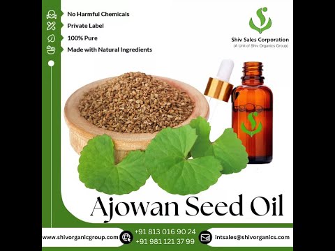 Ajowan Seed Oil