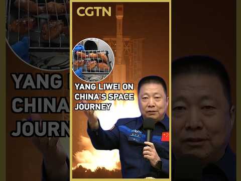How did China's space program go from 'tractor' to 'sedan'? Yang Liwei explains