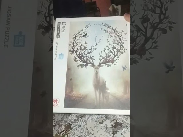 Vídeo relacionado con Ledeak Puzzle 1000 Piezas, 70x50 cm Rompecabezas Adultos Puzzle Imposible Panorámico, Juego Educativo y Estimulante Puzzles para Adultos y Niños a Partir de 14 Años (Explorador Interestelar)