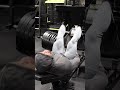 Training Chronicles: Leg Press #shorts