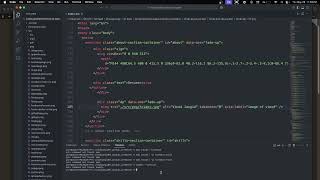 zsh: command not found : node js
