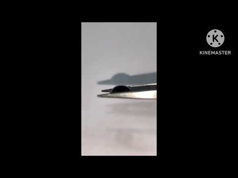 Natural chrysoberyl ( Cats eye ) Gemstones.