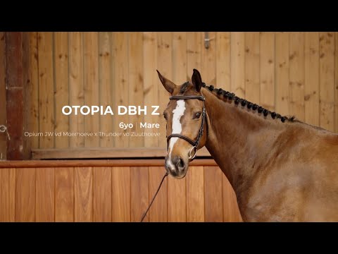 9. Otopia DBH Z | Profile