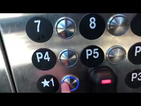 ThyssenKrupp Traction Elevator @ Miami Dade College Inter-American Campus Building 6 in Miami, FL