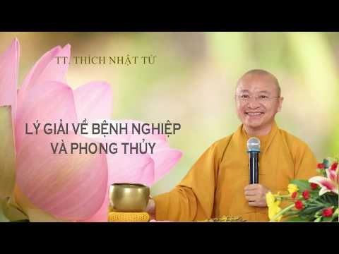 LÝ GIẢI VỀ BỆNH NGHIỆP VÀ BỆNH PHONG THỦY - TT. THÍCH NHẬT TỪ