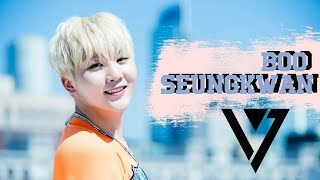 APPRECIATING BOO SEUNGKWAN | SEVENTEEN