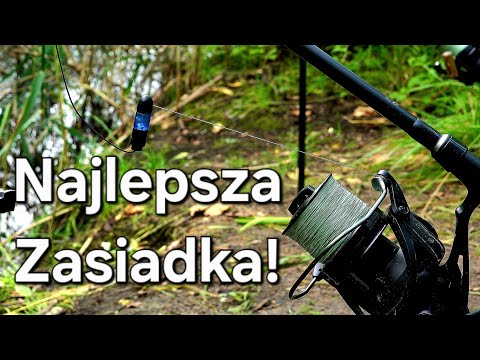 Gigantyczna Ryba z Małej zatoki! Potężna zasiadka! Wędkarstwo Karpiowe PZW