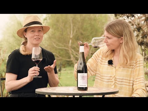 Weinvorstellung: REBRITTER - Wegbereiter Zukunftswein