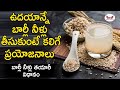 Health Benefits Of Barley Water In Telugu I Barley Water I Barley Water Weight Lose