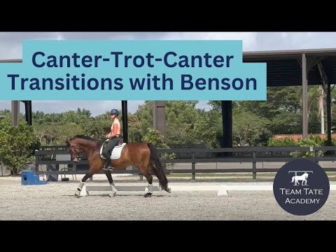 Canter-Trot-Canter Transitions with Benson