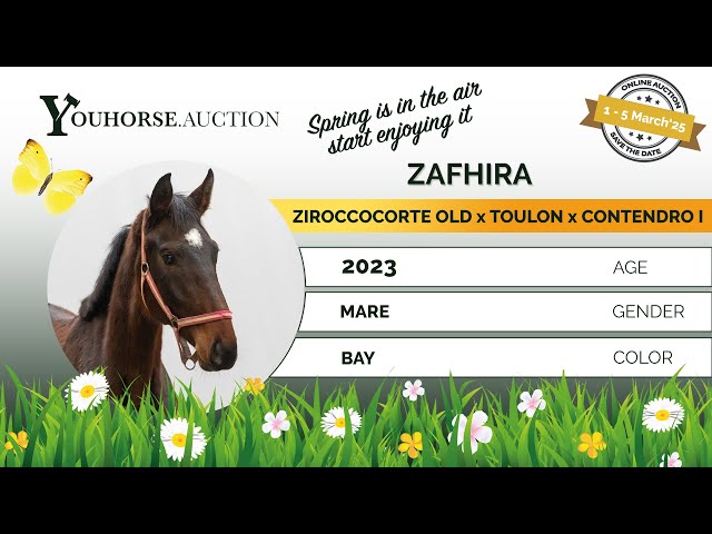 Zafhira