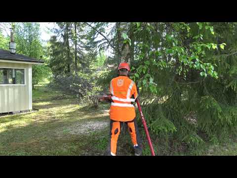 Millanen on 200 euron keikka