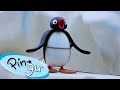 Traveling With Pingu Pingu Official Channel Cartoons For Kids