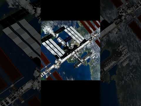 生命の起源を探る。国際宇宙ステーションで「たんぽぽ」プロジェクト #shorts