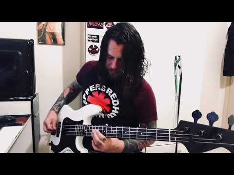 silverchair - Greatest View - Bass cover