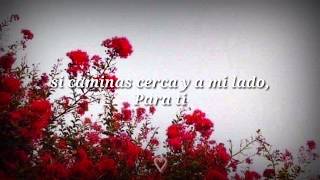 Sin Bandera - Contigo (letra)