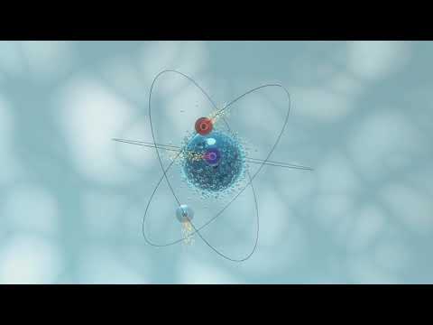 The Four Fundamental Forces of Nature Explained!