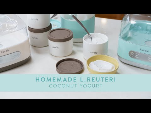Homemade L Reuteri Coconut Yogurt
