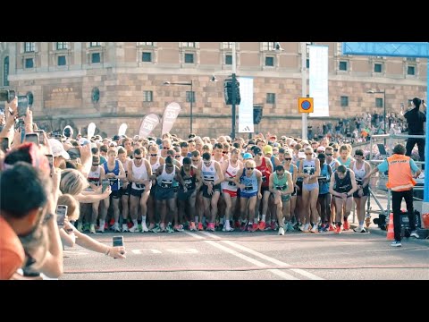 Ramboll Stockholm Halvmarathon 2023
