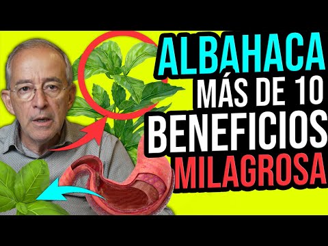 ATENCION LA ALBAHACA TIENE MÁS DE 10 BENEFICIOS APROVECHABLES - Oswaldo Restrepo RSC