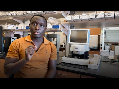 キヌアが飢餓と栄養失調との戦いに役立つ方法｜セドリック・ハビヤレミー (How quinoa can help combat hunger and malnutrition | Cedric Habiyaremye)