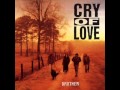 Cry of Love - Drive It Home