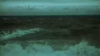 Nerve By Half Moon Run – Lyrics