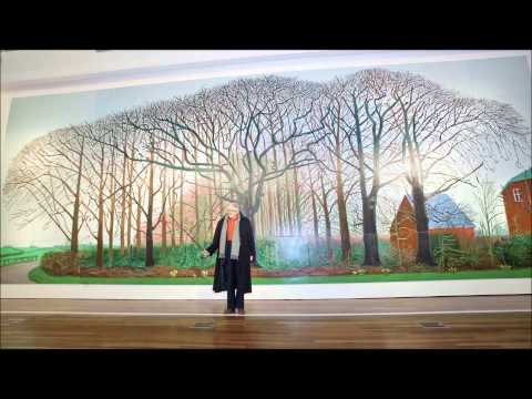Art in Yorkshire 2011.wmv