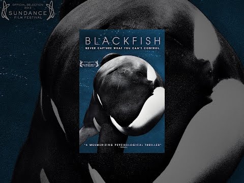 Blackfish: The Dark Side of Captivity | Vibepedia
