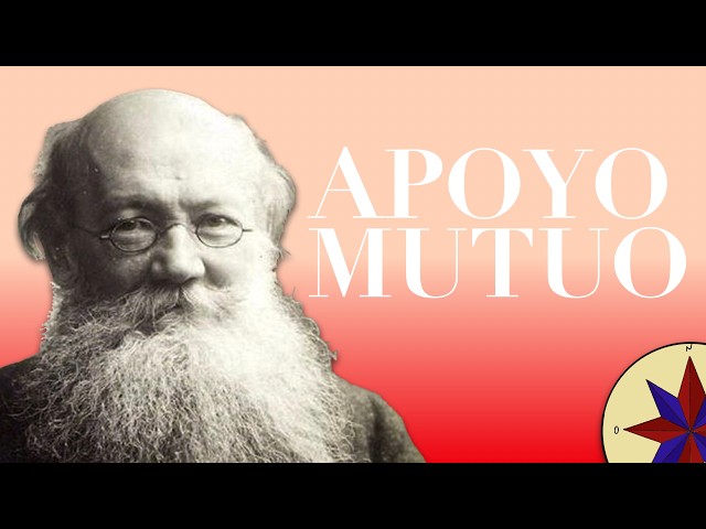 Vídeo relacionado con La filosofía del siglo XX (y más allá) (El libro de bolsillo - Filosofía)