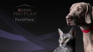 Purina FORTIFLORA 6s anuncio