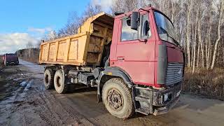 Camion-benne MAZ 551669 | Image 4 - Autoline